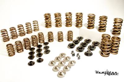 103 Springs with retainers - Titanium