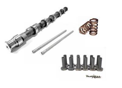 Engine Parts & Performance - Push Rods / Roller Rockers - Hamilton Cams  - 12 Valve Hot Street 188/220 Camshaft Combo