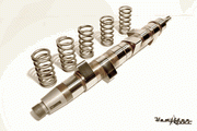 Injection Pumps - Injection Pump Parts - Hamilton Cams  - Pump Cam Springs